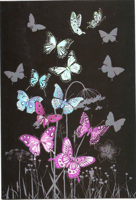 Butterfly Night
