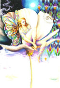 Flower Butterfly Fairy