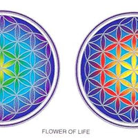 SunSeal, Window Sticker Sunlight Sticker, Flower Of Life, Flower, Life, Flower of Life Mandala, Flower of Life Window Sticker