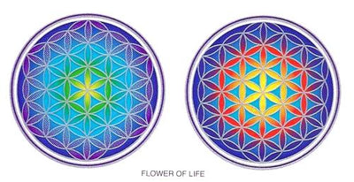 SunSeal, Window Sticker Sunlight Sticker, Flower Of Life, Flower, Life, Flower of Life Mandala, Flower of Life Window Sticker